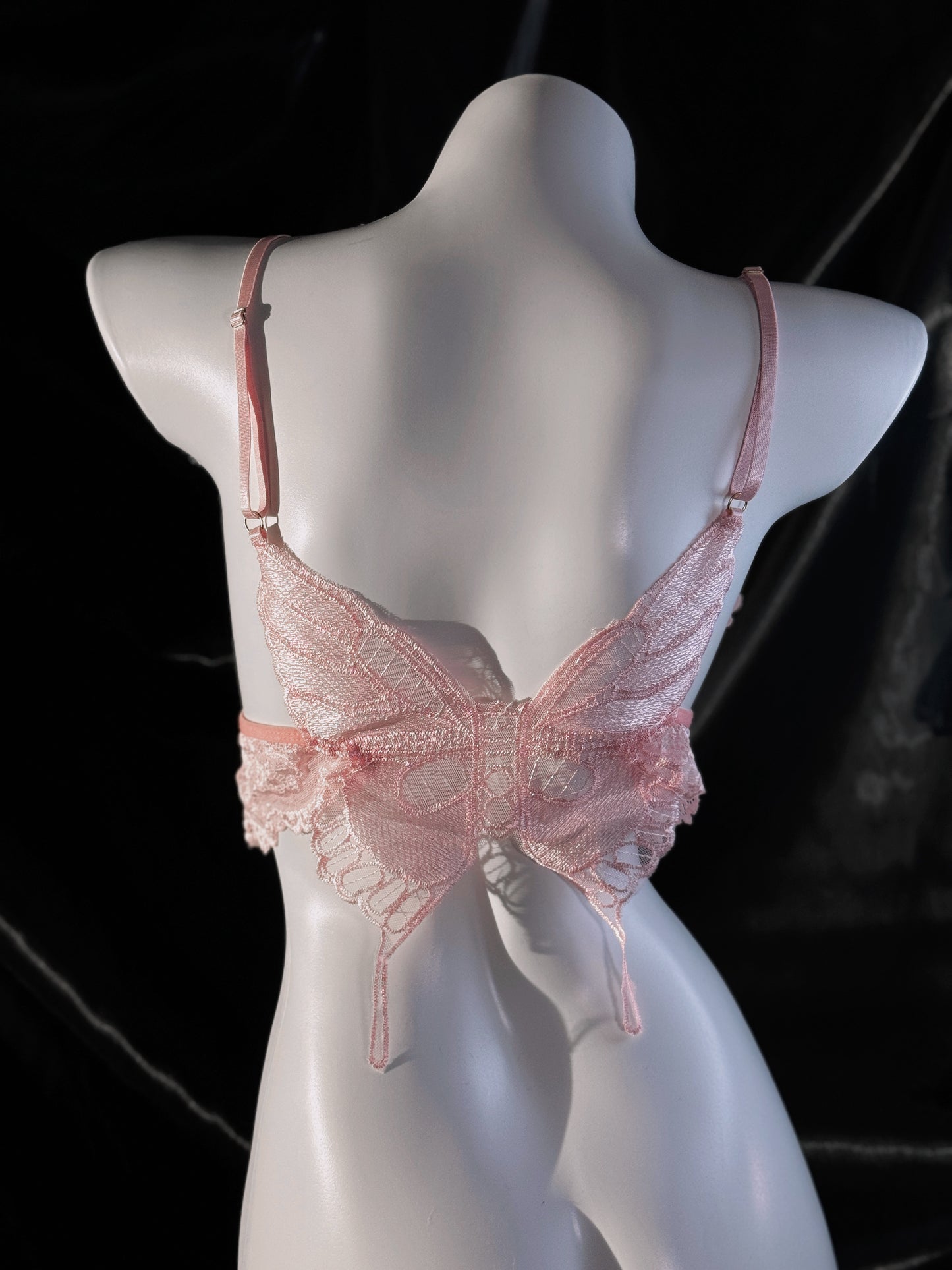 Butterfly Lace Bralette Lingerie