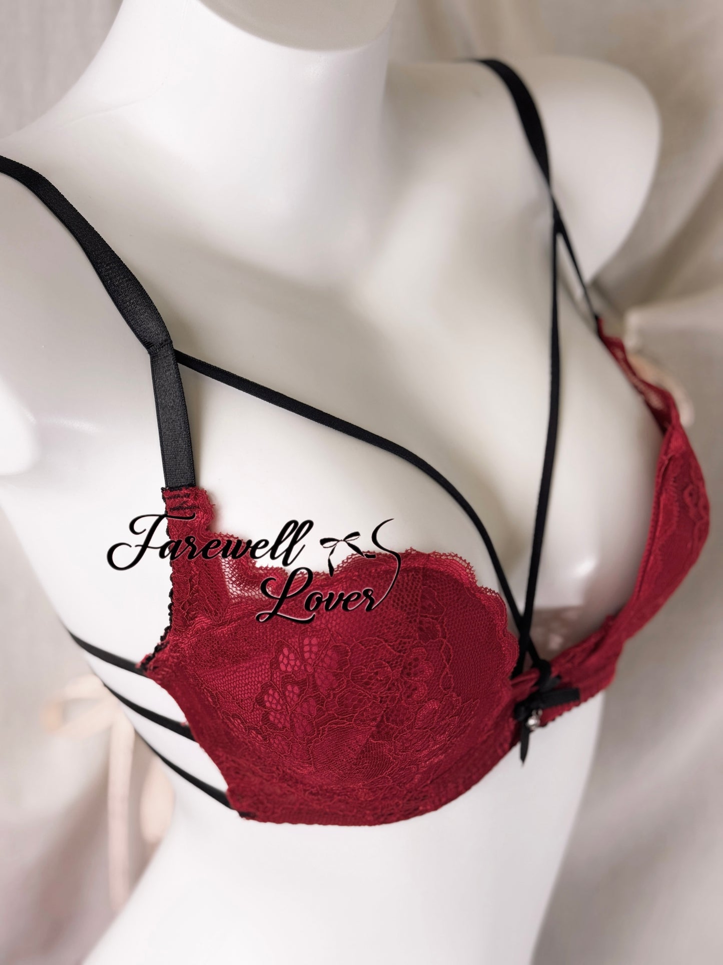 Red Wine Lace Bra Set