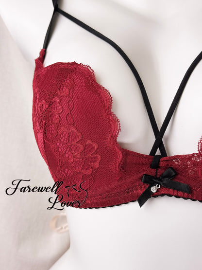 Red Wine Lace Bra Set