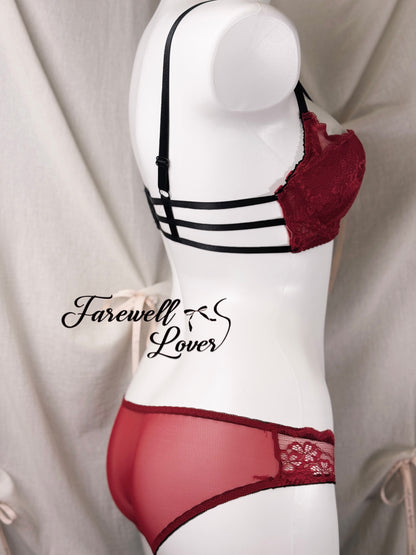 Red Wine Lace Bra Set